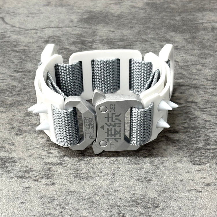 Quick-Release Wristband Unit